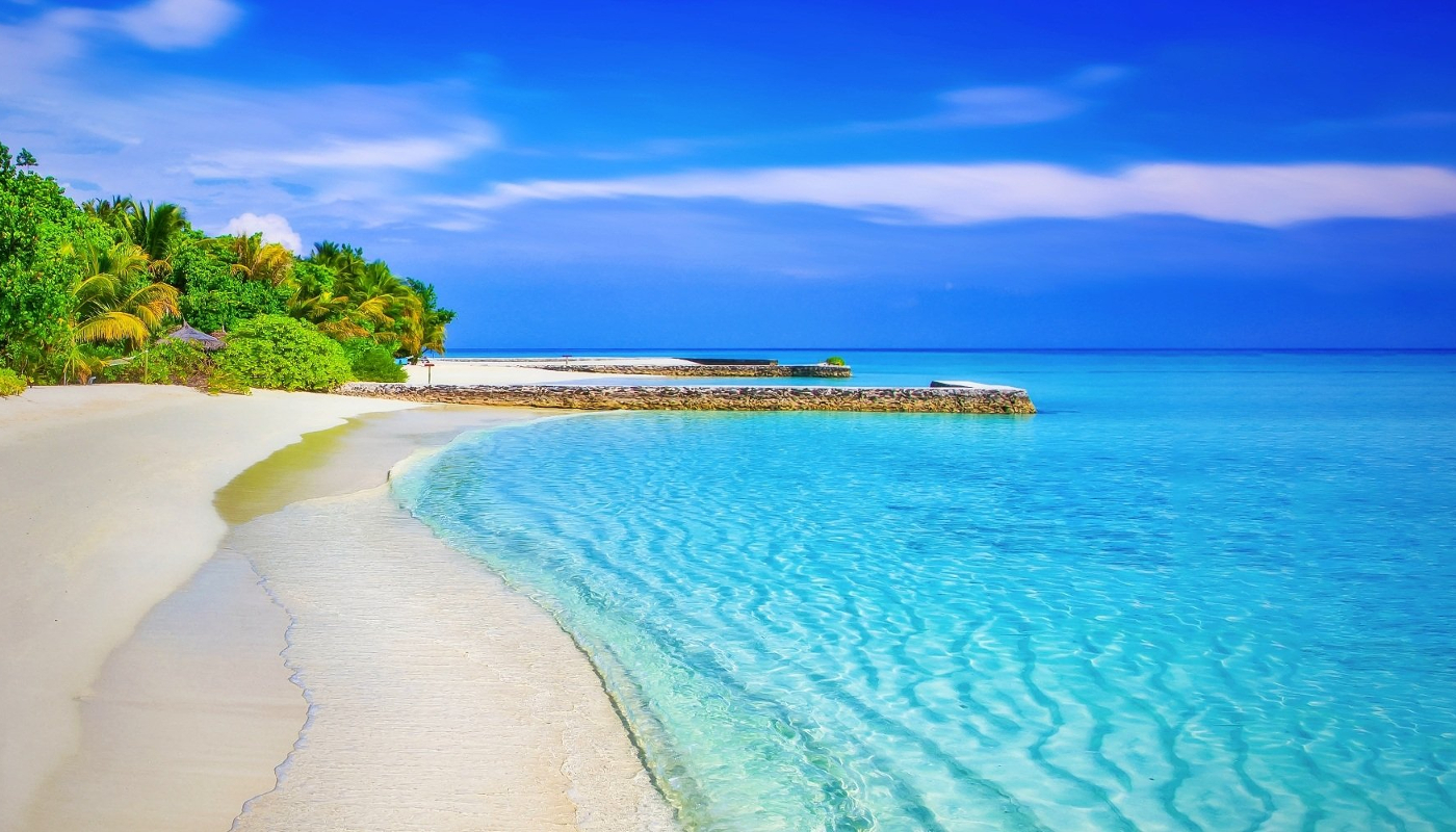 <br />
<b>Notice</b>:  Undefined index: image_title in <b>/home/bluevow/www/blue-voyages.com/wp-content/themes/travel-trip-pro/header.php</b> on line <b>133</b><br />
